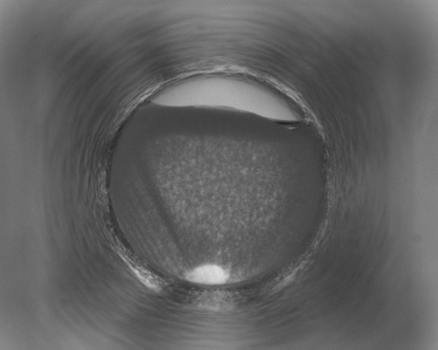 X0000080180881200701051654