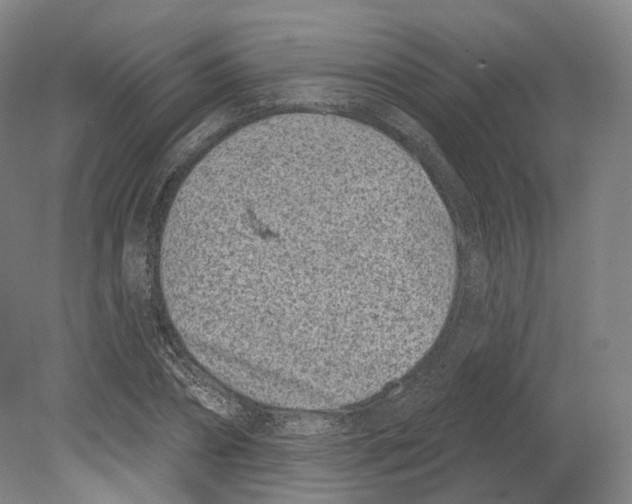 X0000080180882200701051654