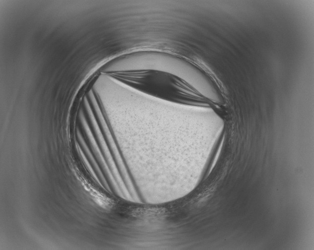 X0000080180884200701051654