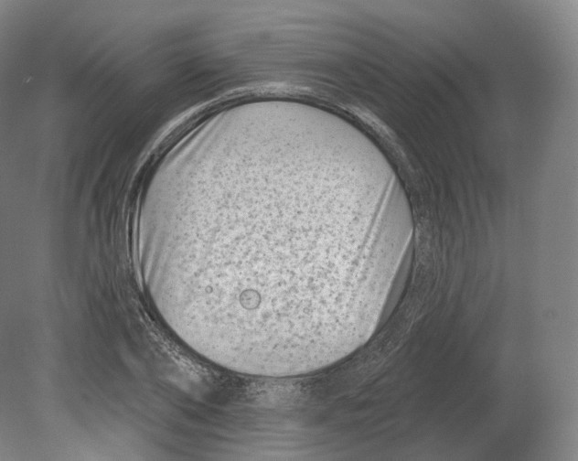 X0000080180886200701051654