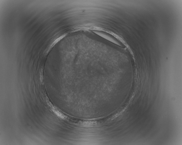 X0000080180889200701051654