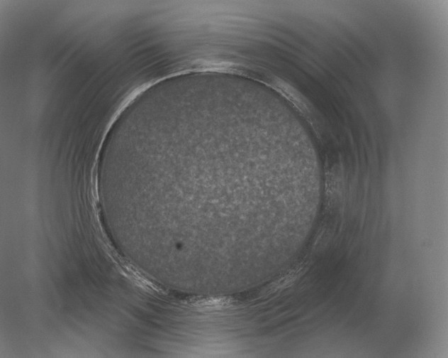 X0000080180891200701051654