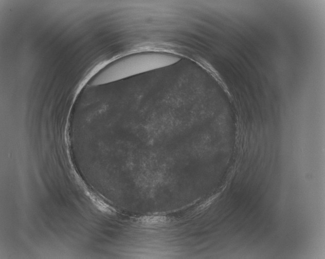 X0000080180893200701051654