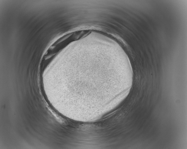 X0000080180894200701051654