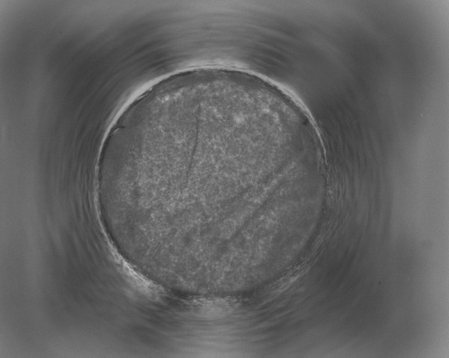 X0000080180895200701051654