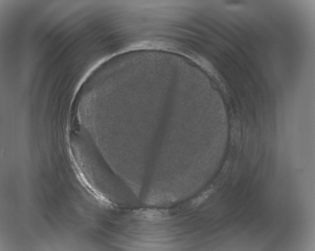 X0000080180896200701051654