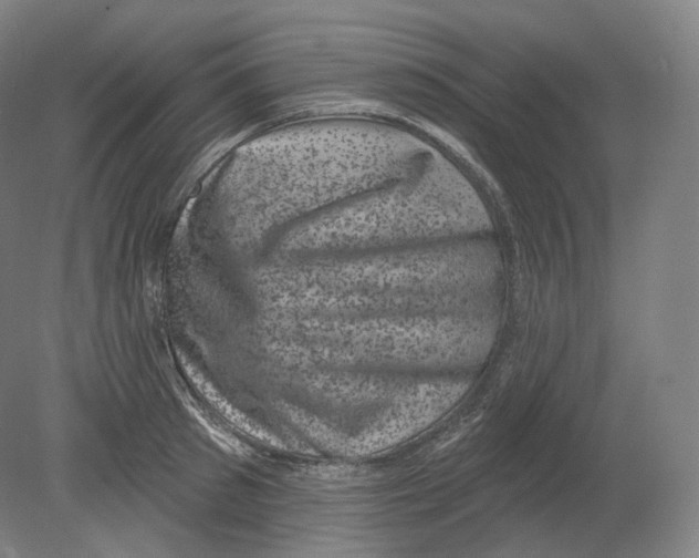 X0000080180897200701051654