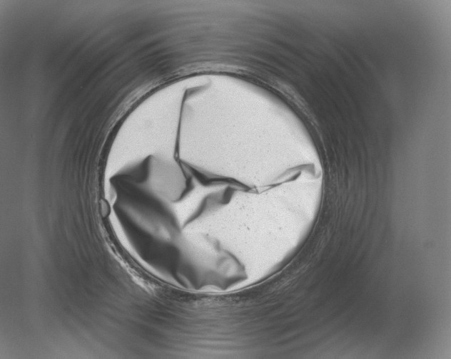 X0000080180898200701051654