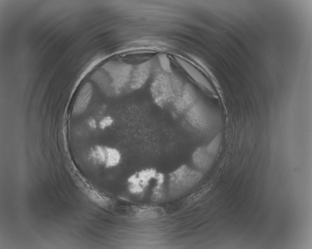 X0000080180899200701051654