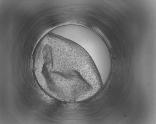 X0000080180900200701051654