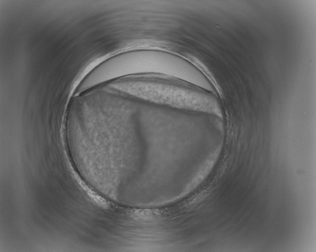 X0000080180901200701051654