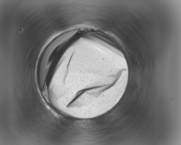 X0000080180902200701051654