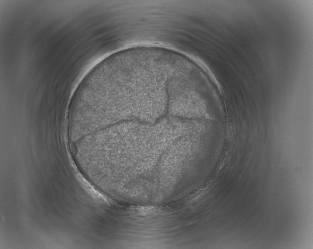 X0000080180903200701051654