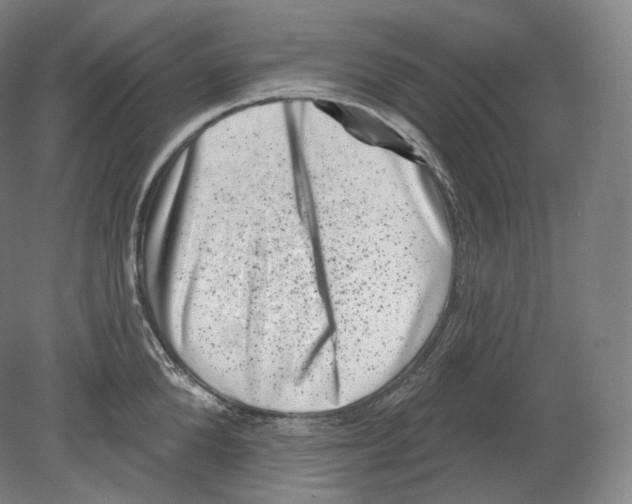 X0000080180904200701051654