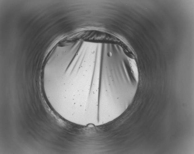 X0000080180906200701051654