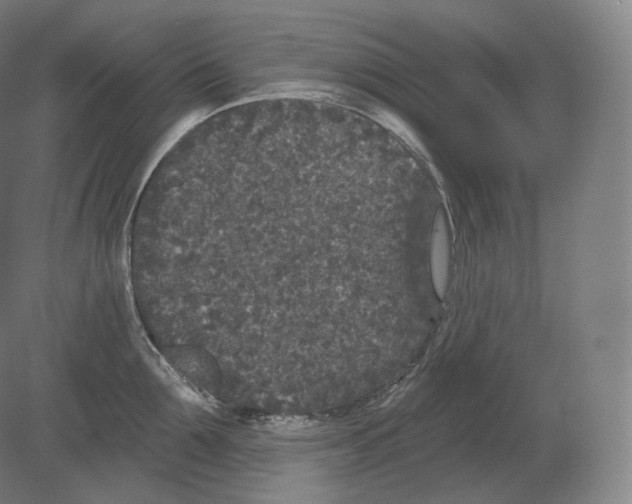 X0000080180907200701051654