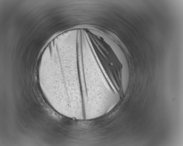 X0000080180908200701051654