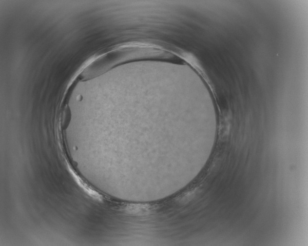 X0000080180909200701051654