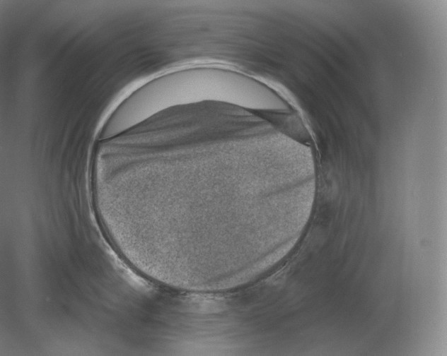 X0000080180910200701051654