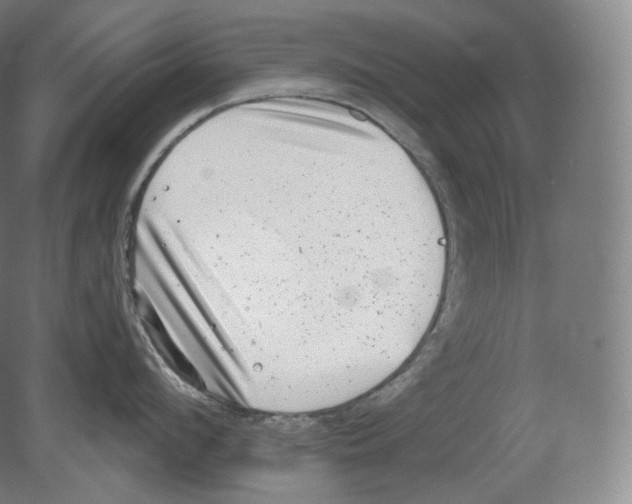 X0000080180912200701051654