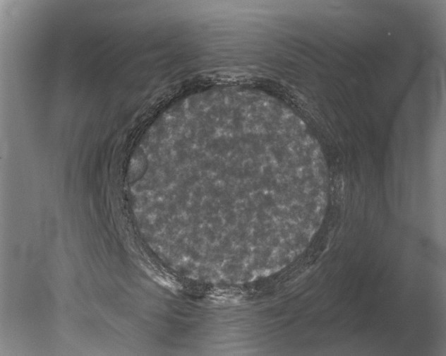 X0000080180913200701051653