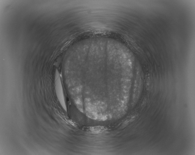 X0000080180916200701051653