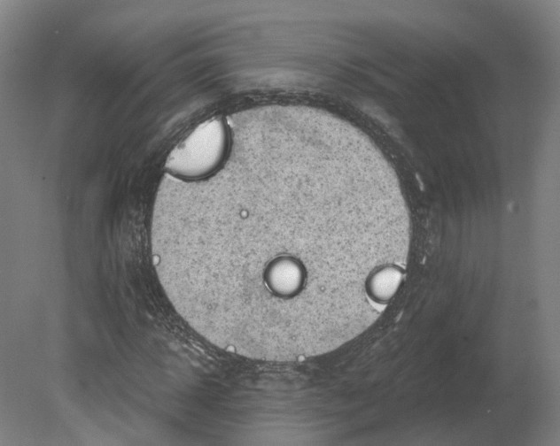 X0000080180918200701051653