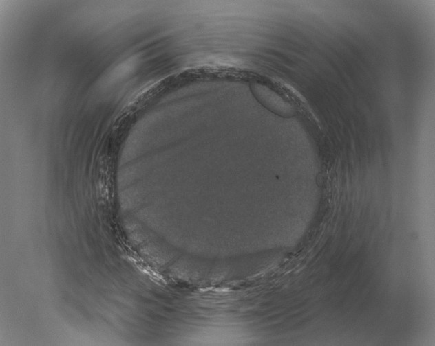 X0000080180919200701051653