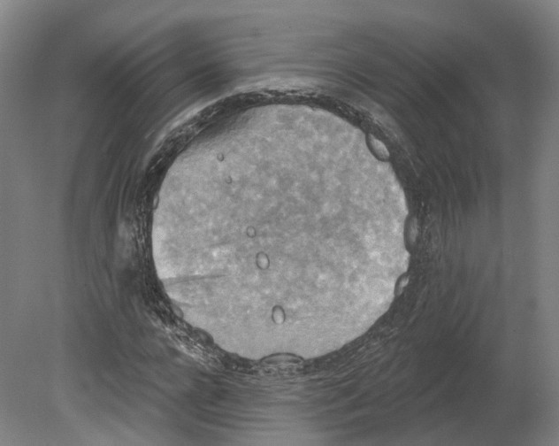 X0000080180920200701051653