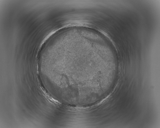 X0000080180925200701051653