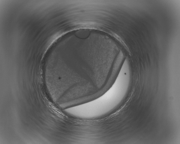 X0000080180926200701051653