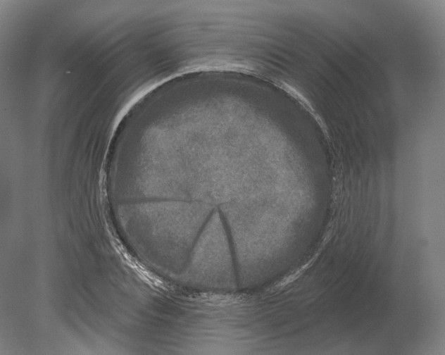 X0000080180928200701051653