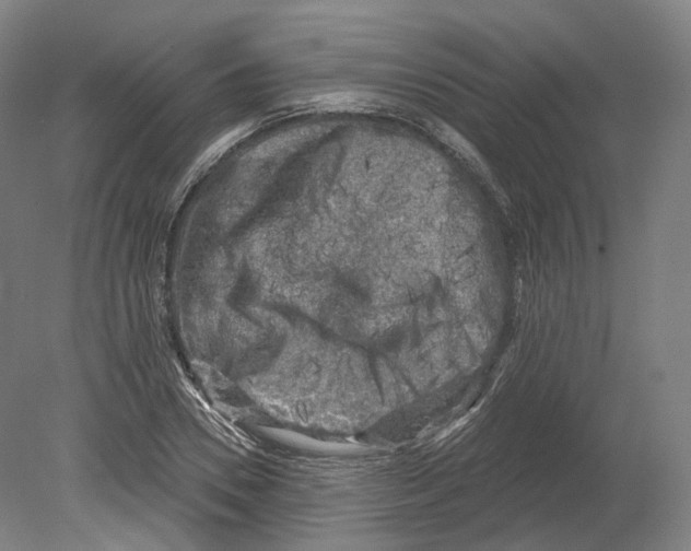 X0000080180930200701051653