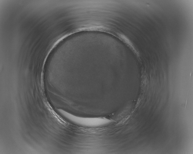 X0000080180932200701051653