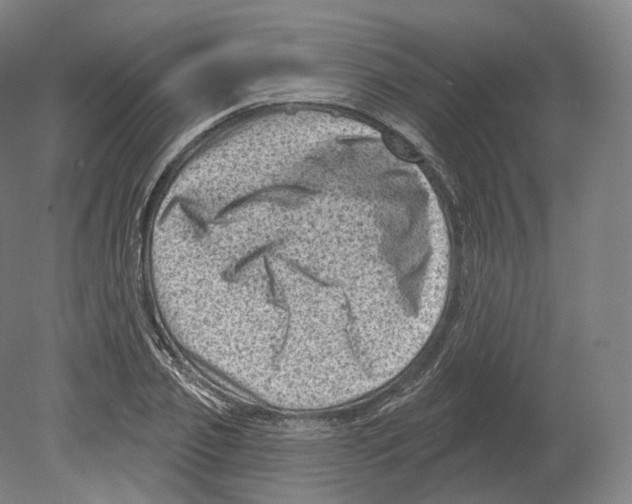 X0000080180933200701051653