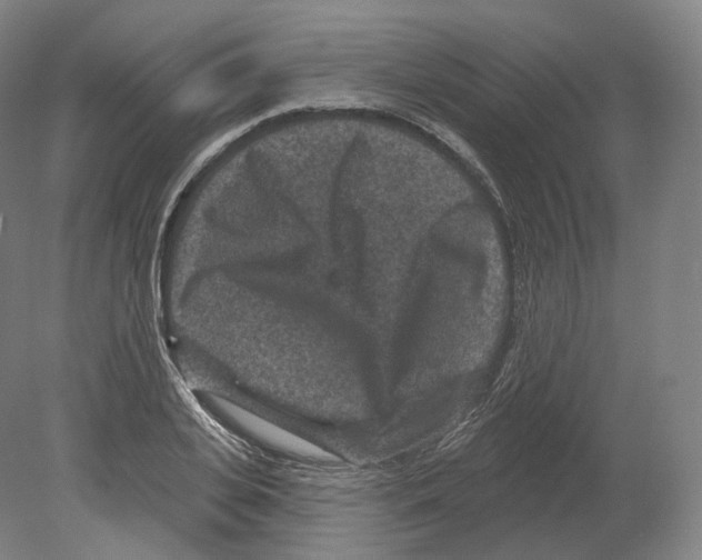 X0000080180935200701051653