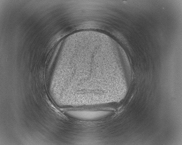 X0000080180937200701051653