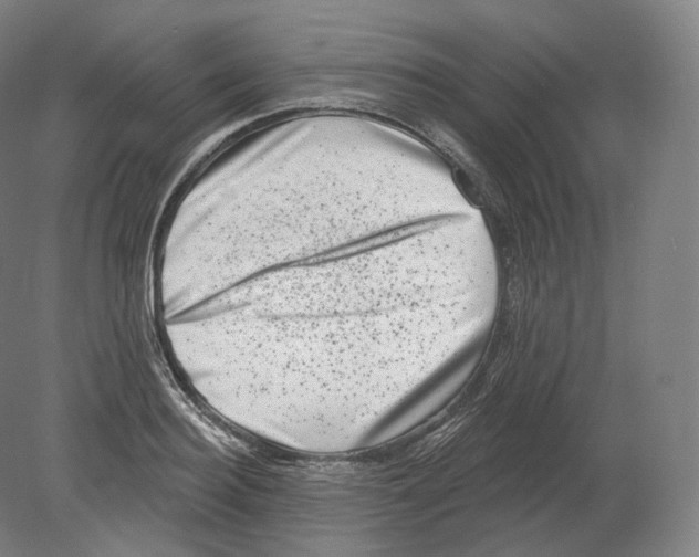 X0000080180940200701051653