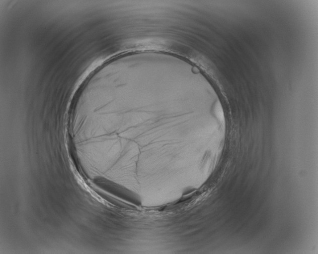 X0000080180941200701051653