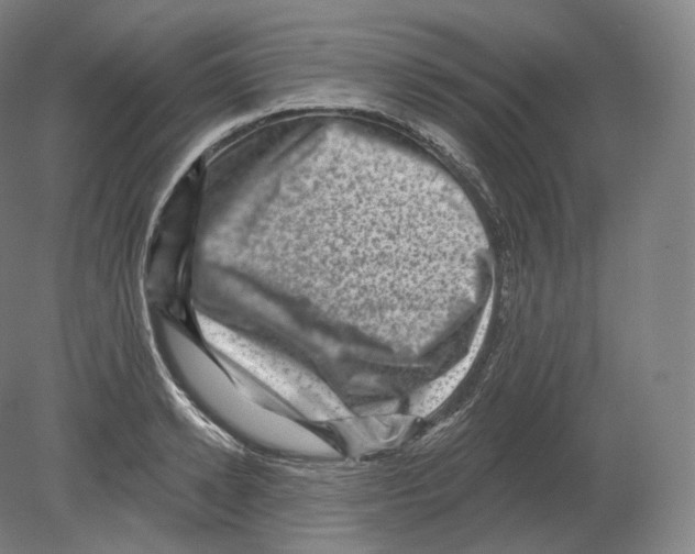 X0000080180942200701051653