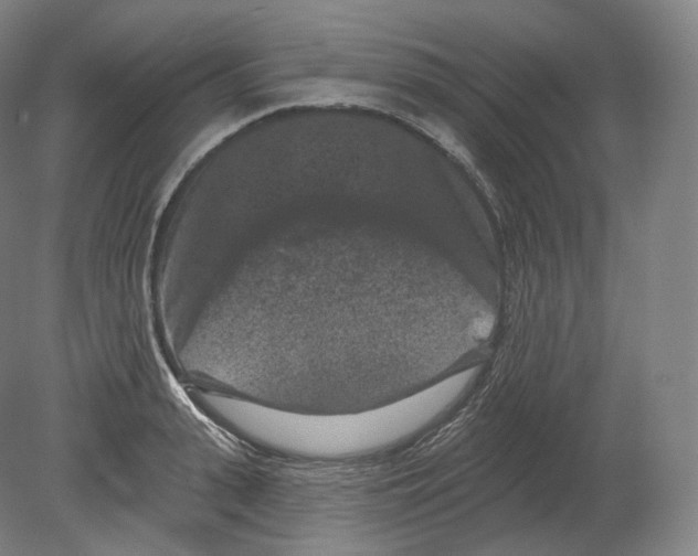 X0000080180943200701051653