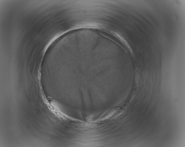 X0000080180944200701051653