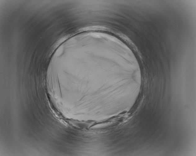 X0000080180945200701051653