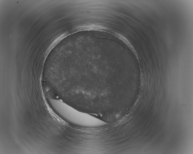 X0000080180946200701051653