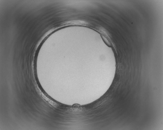 X0000080180947200701051653