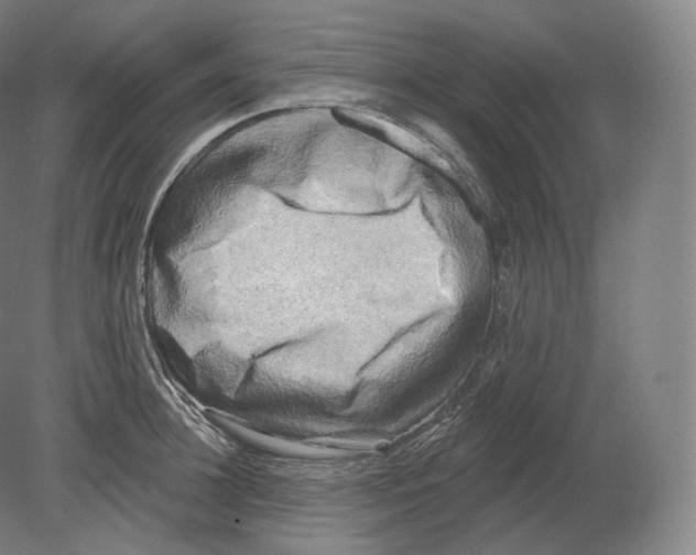 X0000080180948200701051653