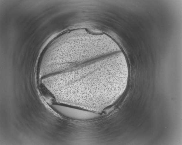 X0000080180949200701051653