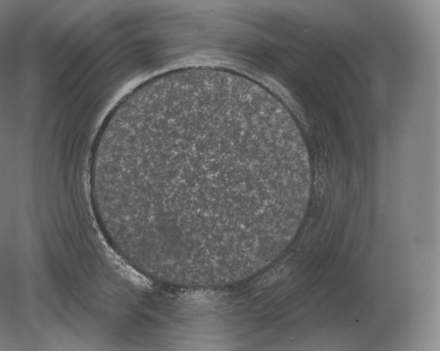 X0000080180950200701051653