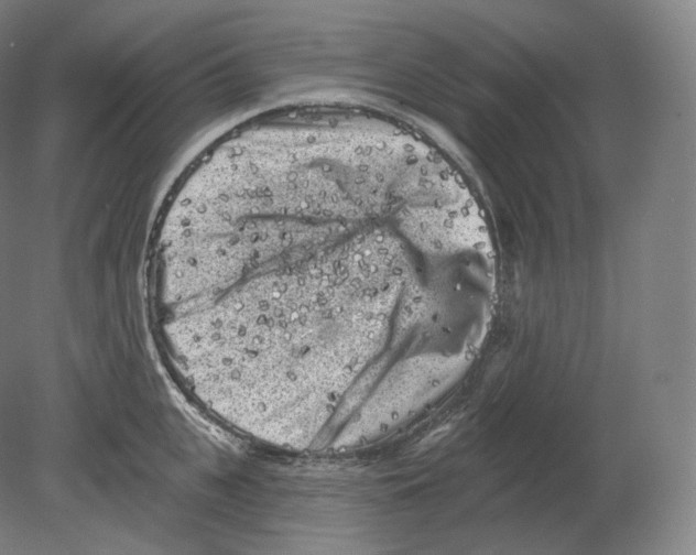 X0000080180951200701051653