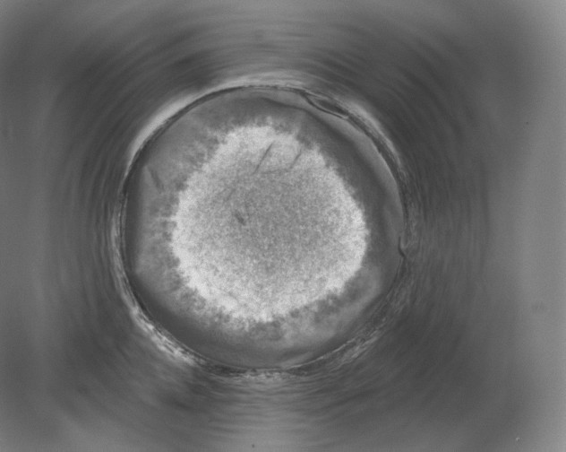 X0000080180952200701051653